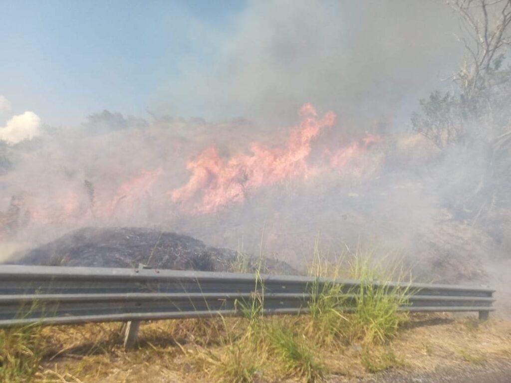 Incendio consume 20 hectáreas en Atoyac