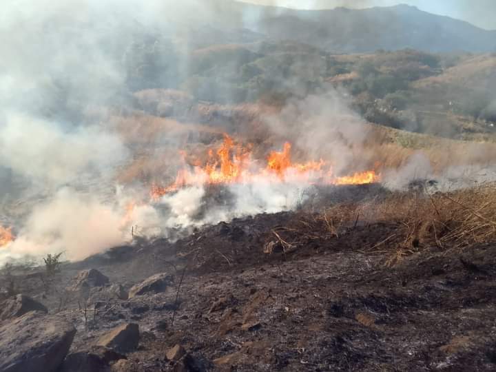 Incendio daña 4 hectáreas de pastizal
