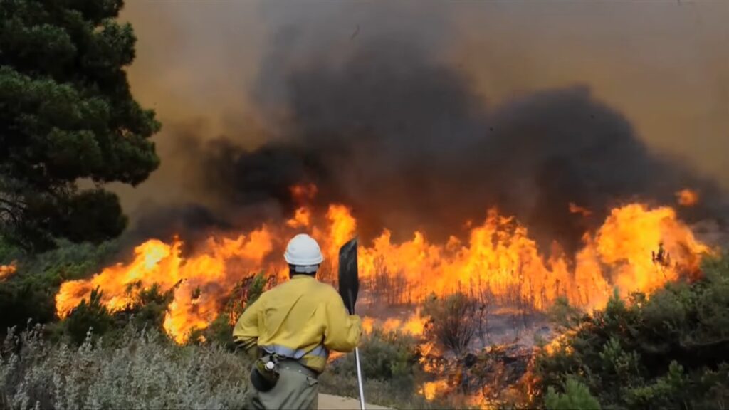 Serranos temen la pérdida de 5 mil hectáreas por incendios forestales 