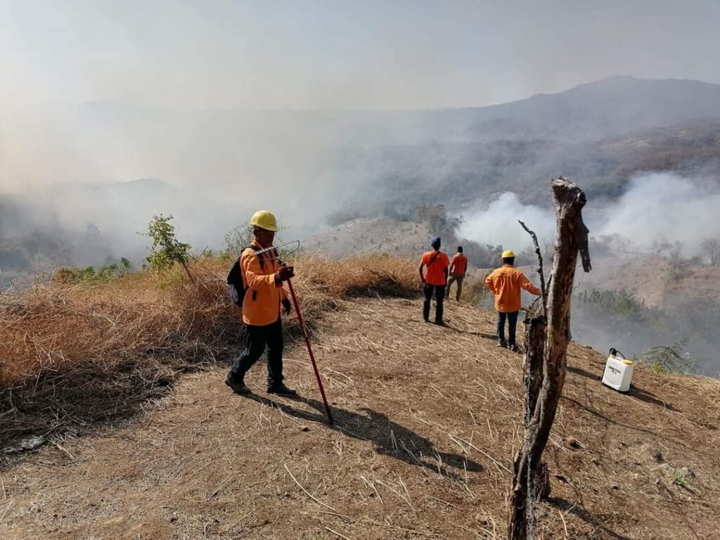 Incendio daña 30 hectáreas en Atoyac