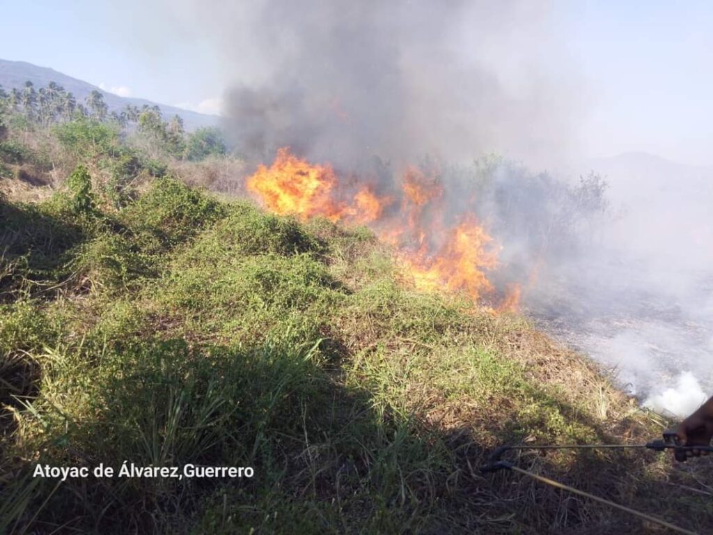 Incendio arrasa con varias hectáreas de huertas en Atoyac