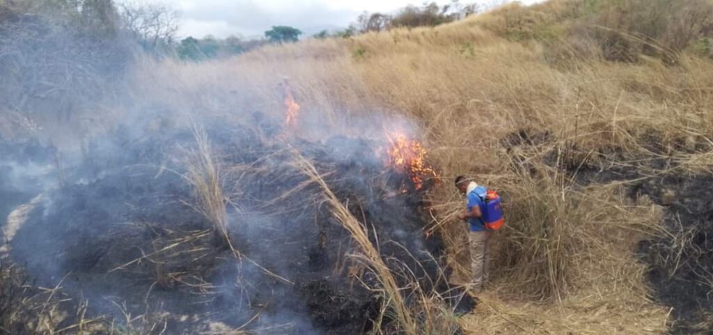 Incendio consume 15 hectáreas de pastizales en Atoyac