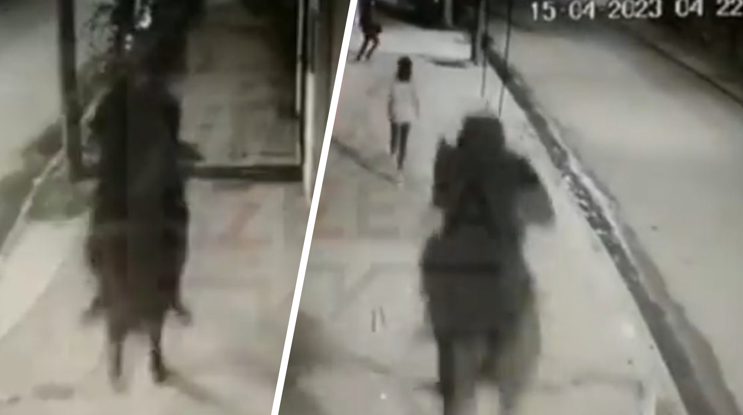Al estilo Llanero Solitario; hombre asalta en su caballo en Argentina