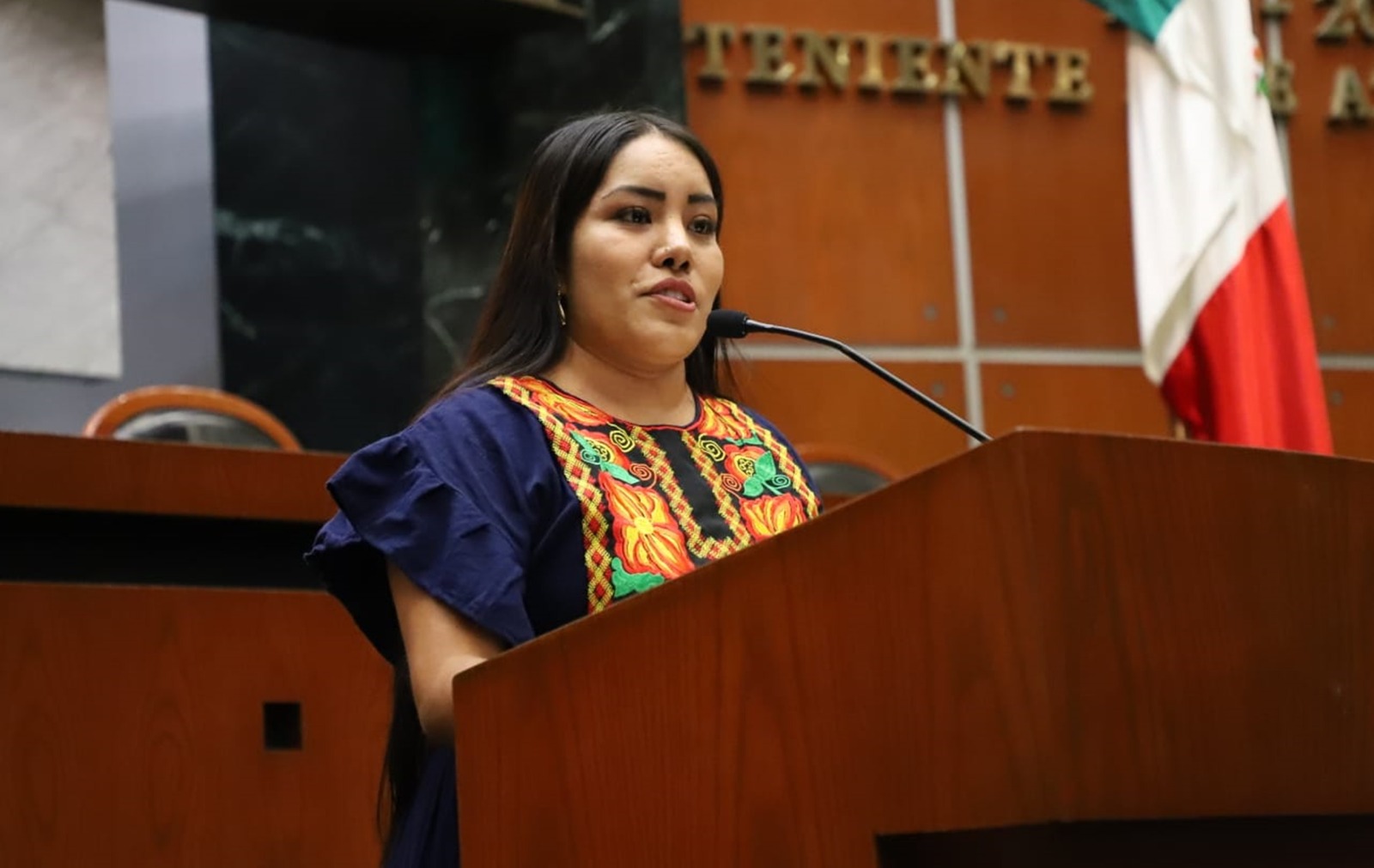 Analiza el Congreso propuesta para que instituciones de salud privadas presten servicio gratuito a personas de escasos recursos  
