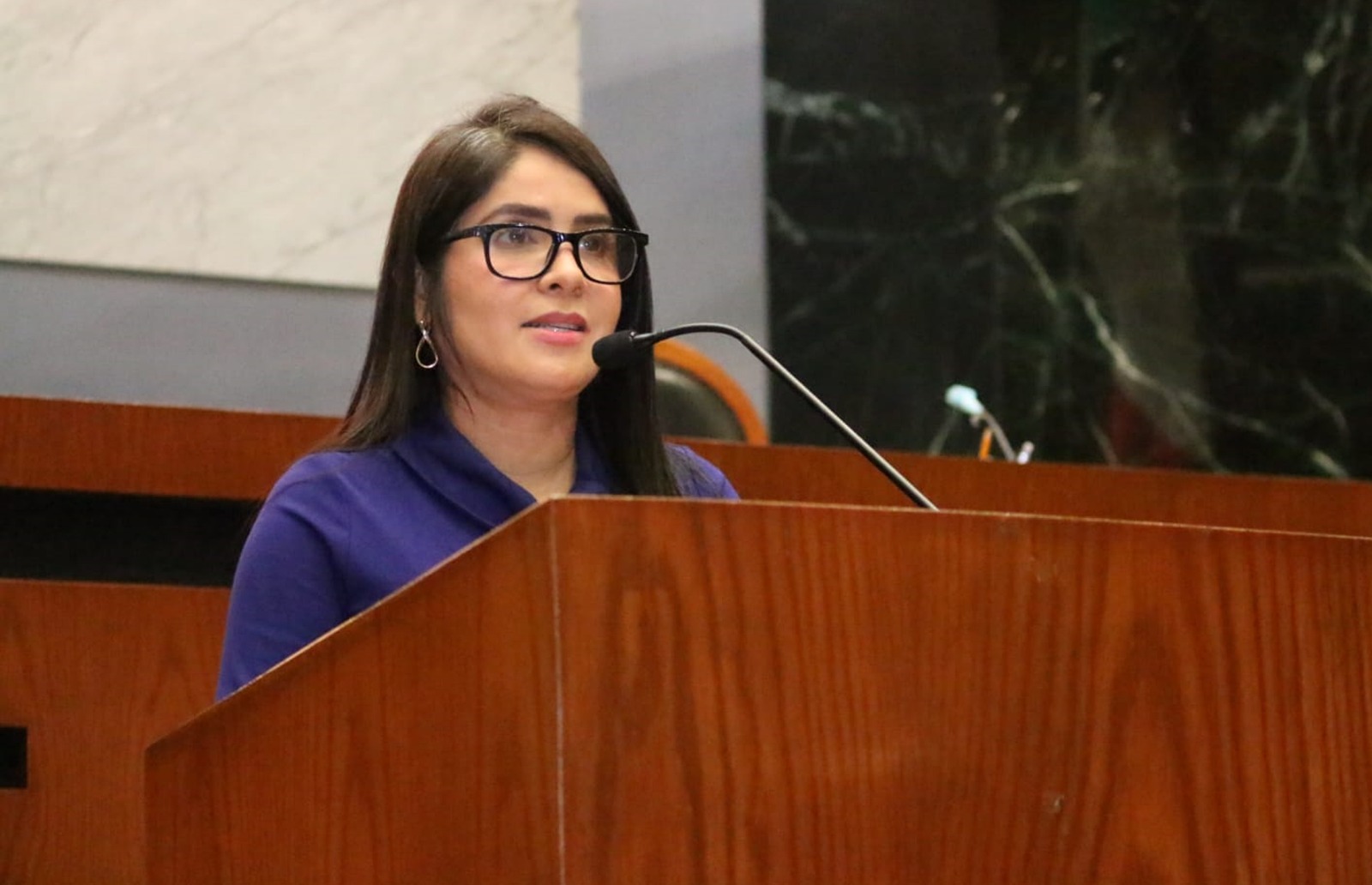 Propone Yoloczin Domínguez crear el día estatal del voceador
