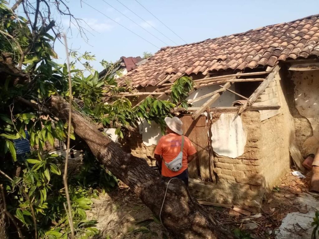 Primeras lluvias derriban varios árboles en Atoyac