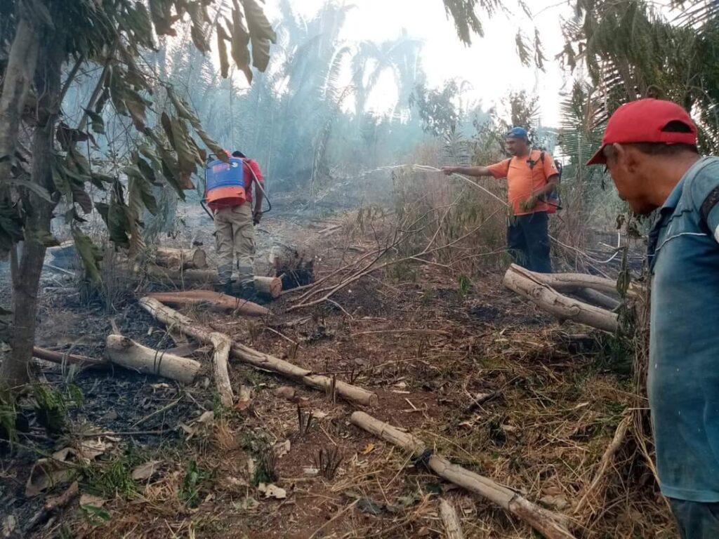 Incendio deja daños en huertas de Atoyac