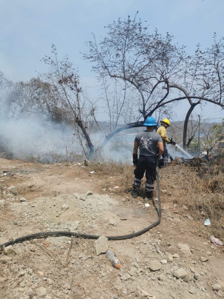 Incendio de pastizales moviliza a los Bomberos de Zihuatanejo