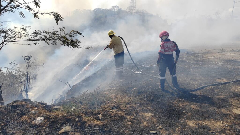 Incendio de pastizales en La Majahua moviliza a Bomberos