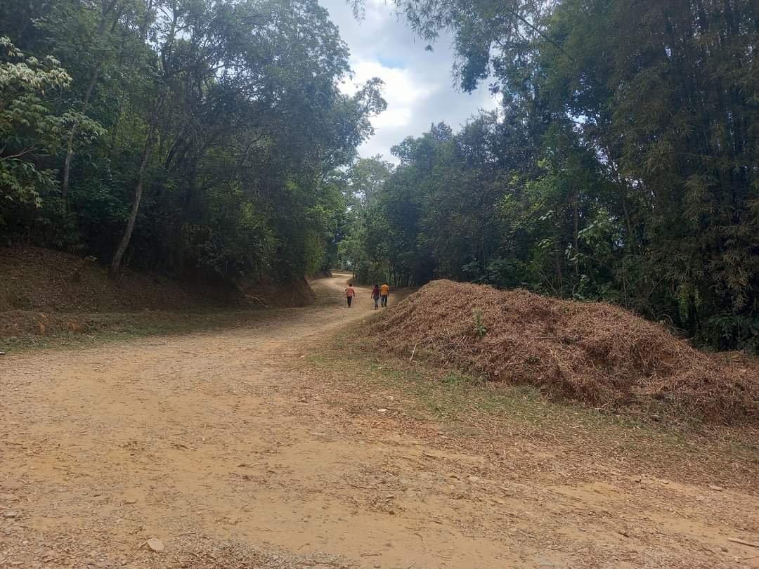 Solicitan pavimentación en La Soledad