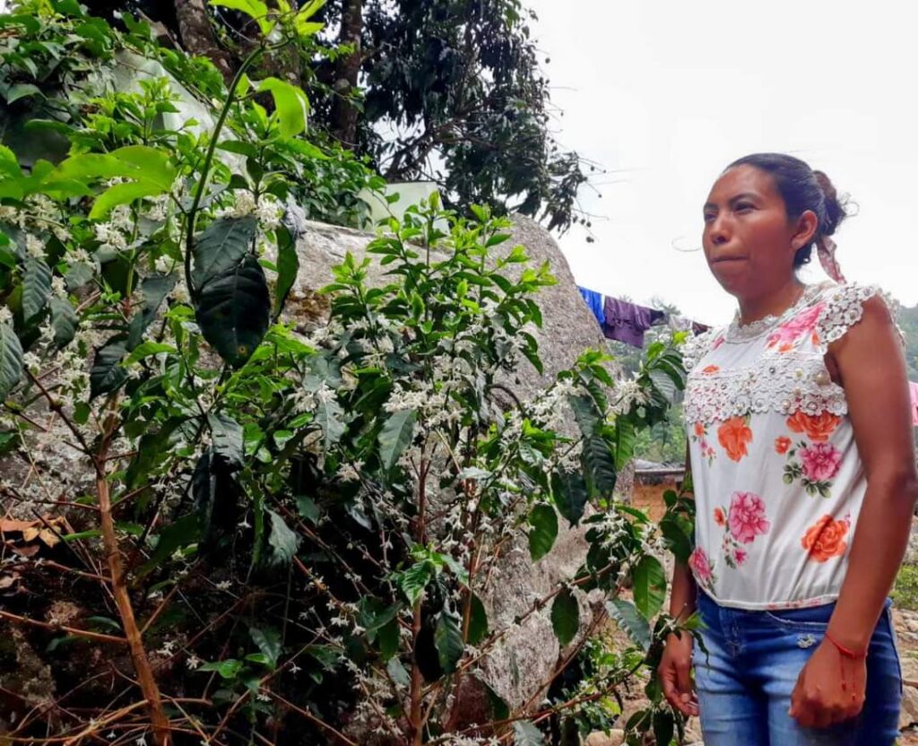 Mujeres emprendedoras comercializan  el café del Edén en otros países