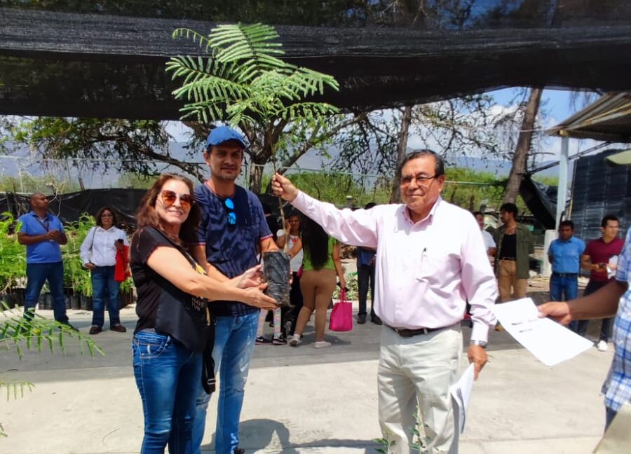 El gobierno de Guerrero inicia donación de 300 mil árboles