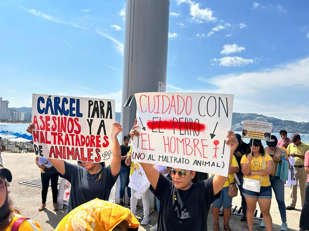 Marchan para exigir la aplicación de la Ley de Bienestar Animal, en Acapulco