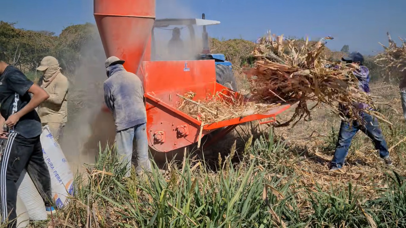 Agricultores de manera gradual tecnifican el campo