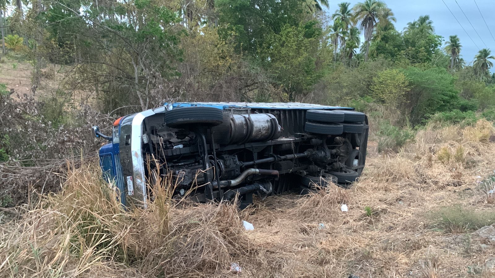 Volcó torton que transportaba verduras en Petatlán