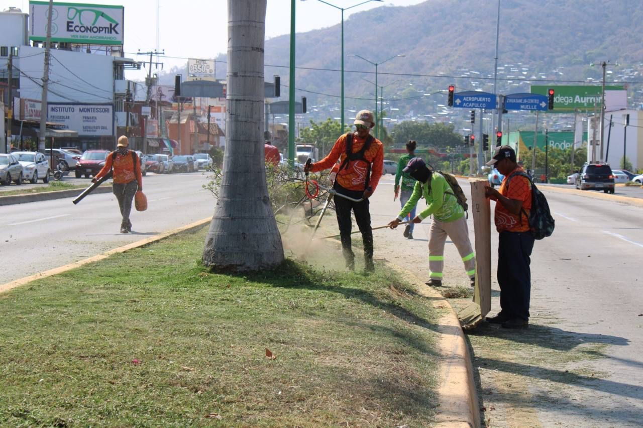 Servicios Públicos avanza en la mejora de imagen de camellones centrales de vialidades y áreas verdes