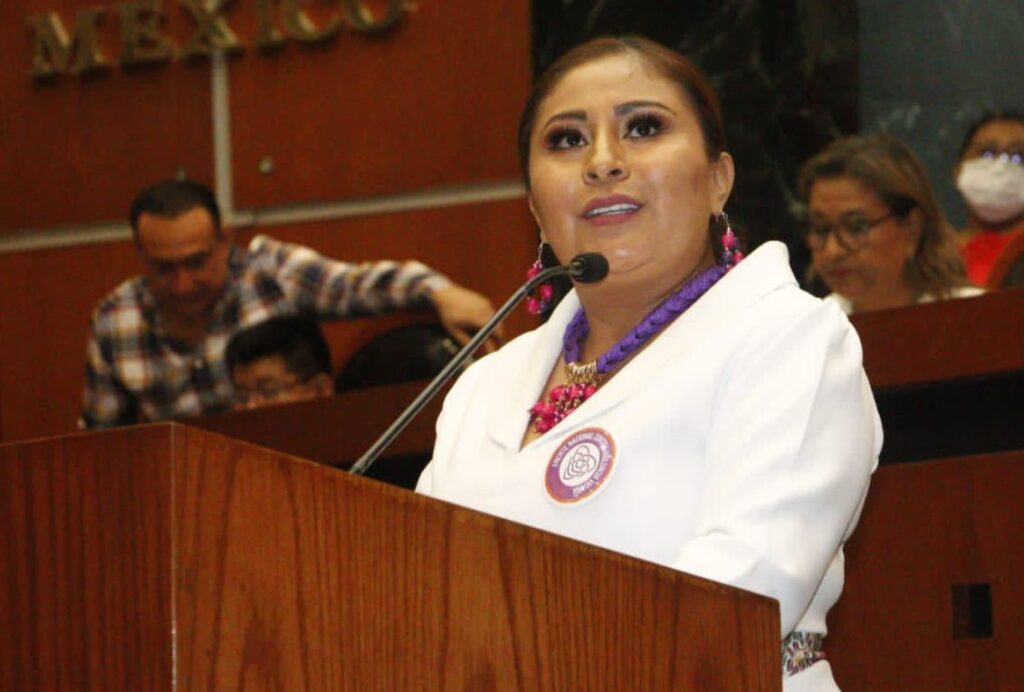 Reformas contra la violencia vicaria protegerán tanto a madres como a sus hijos, celebra la diputada Jessica Alejo