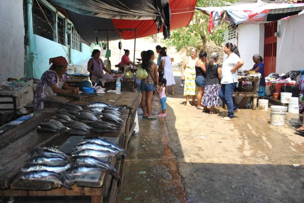 Reportan bajas ventas de pescado en Atoyac