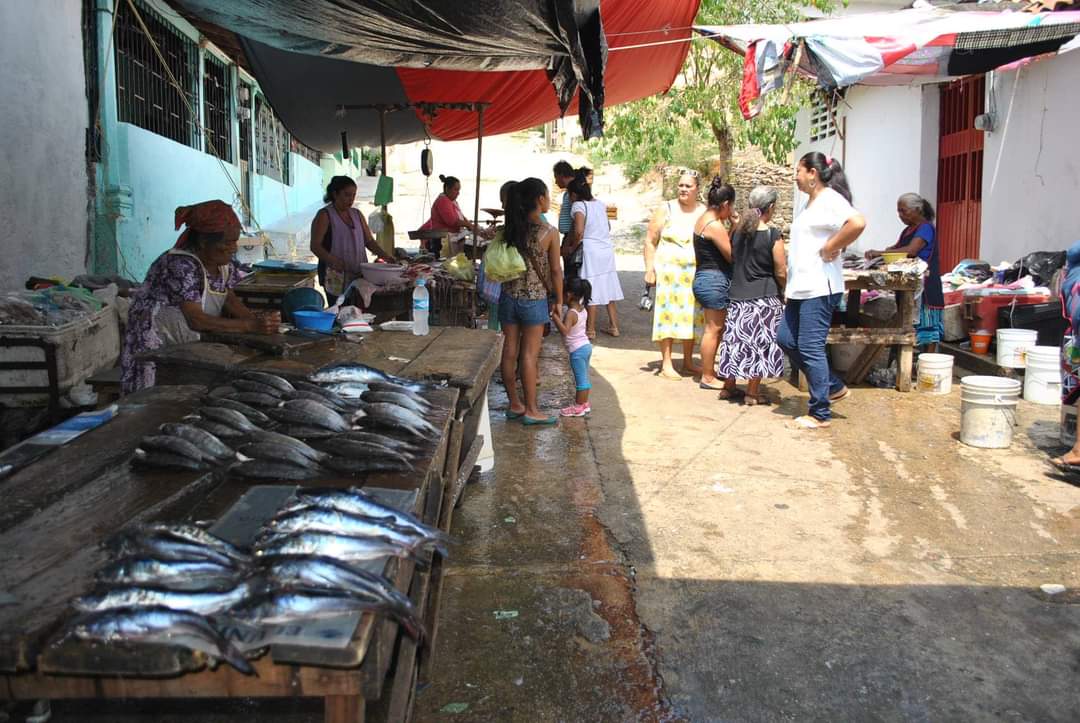 Reportan bajas ventas de pescado en Atoyac