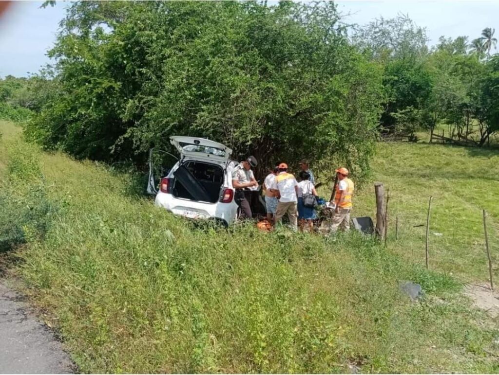 Muere mujer al chocar con un árbol en carretera federal Acapulco-Zihuatanejo