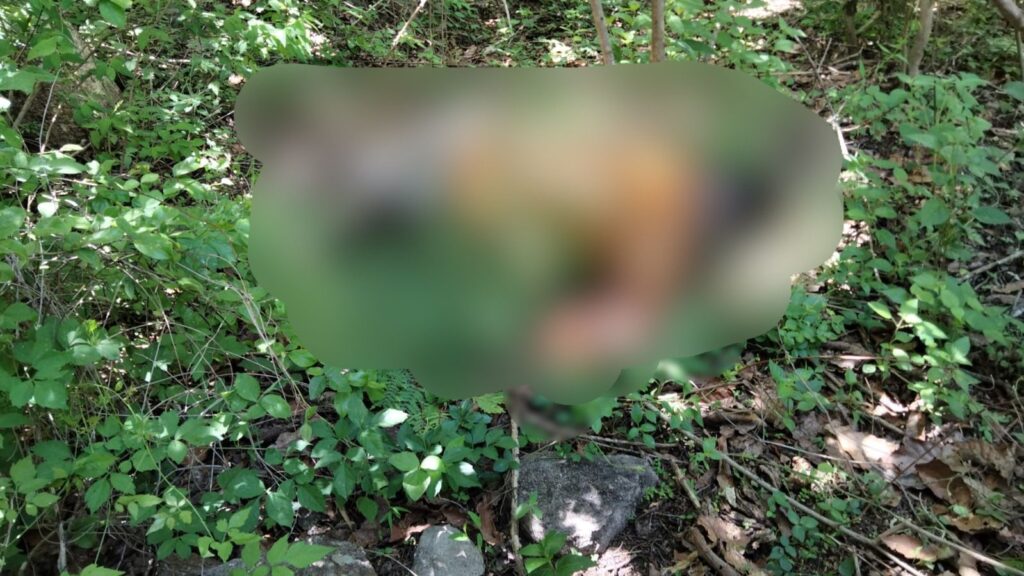 Hallan putrefacto a un hombre que desapareció en la Normal de Ayotzinapa
