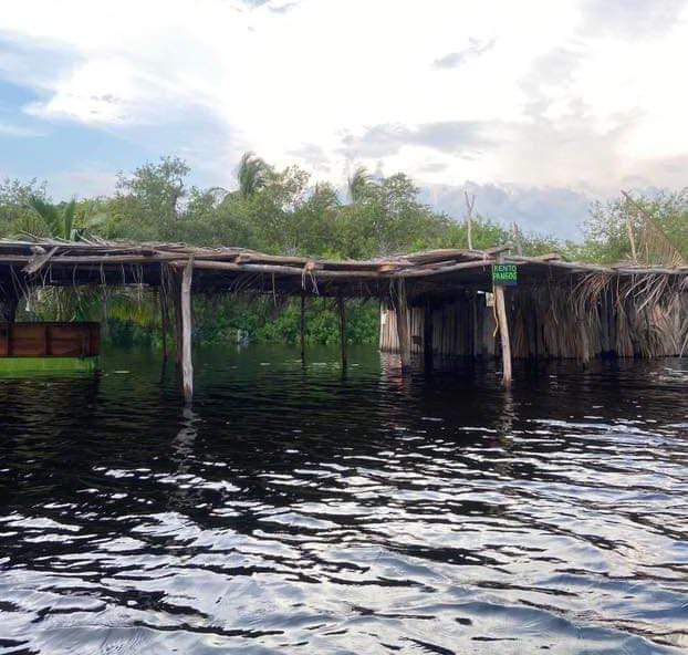 Se desbordó la laguna en Barra de Potosí; Resultaron inundados 20 negocios