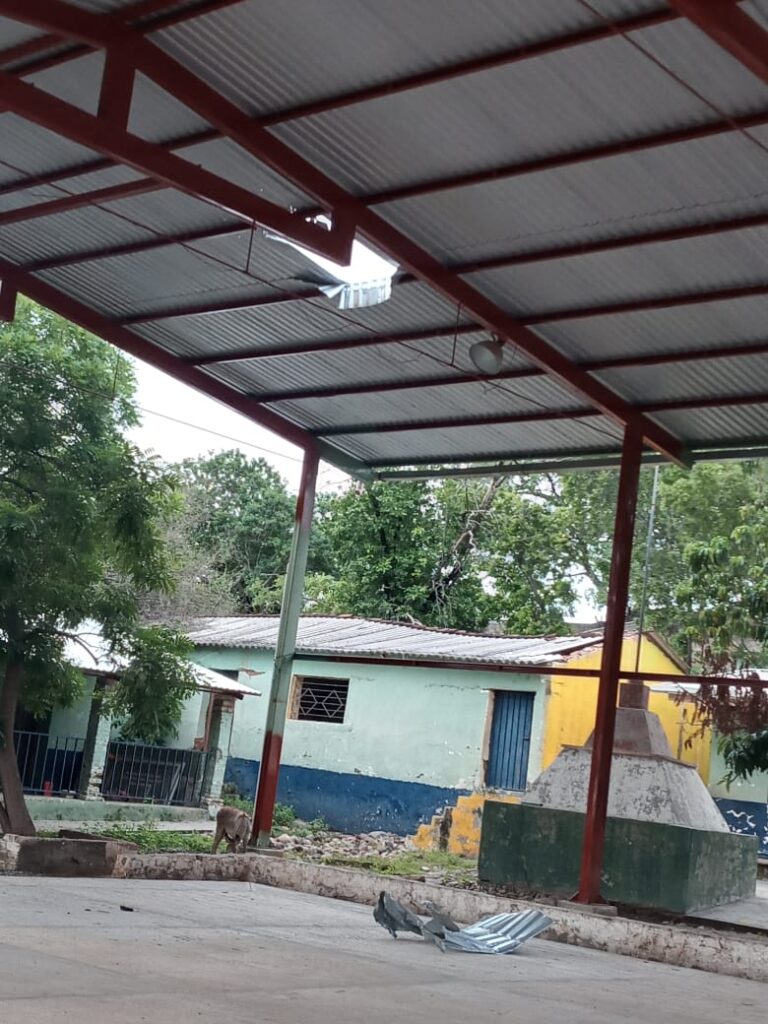 Un muerto en ataque con drones en el poblado Nuevo Caracol, Apaxtla