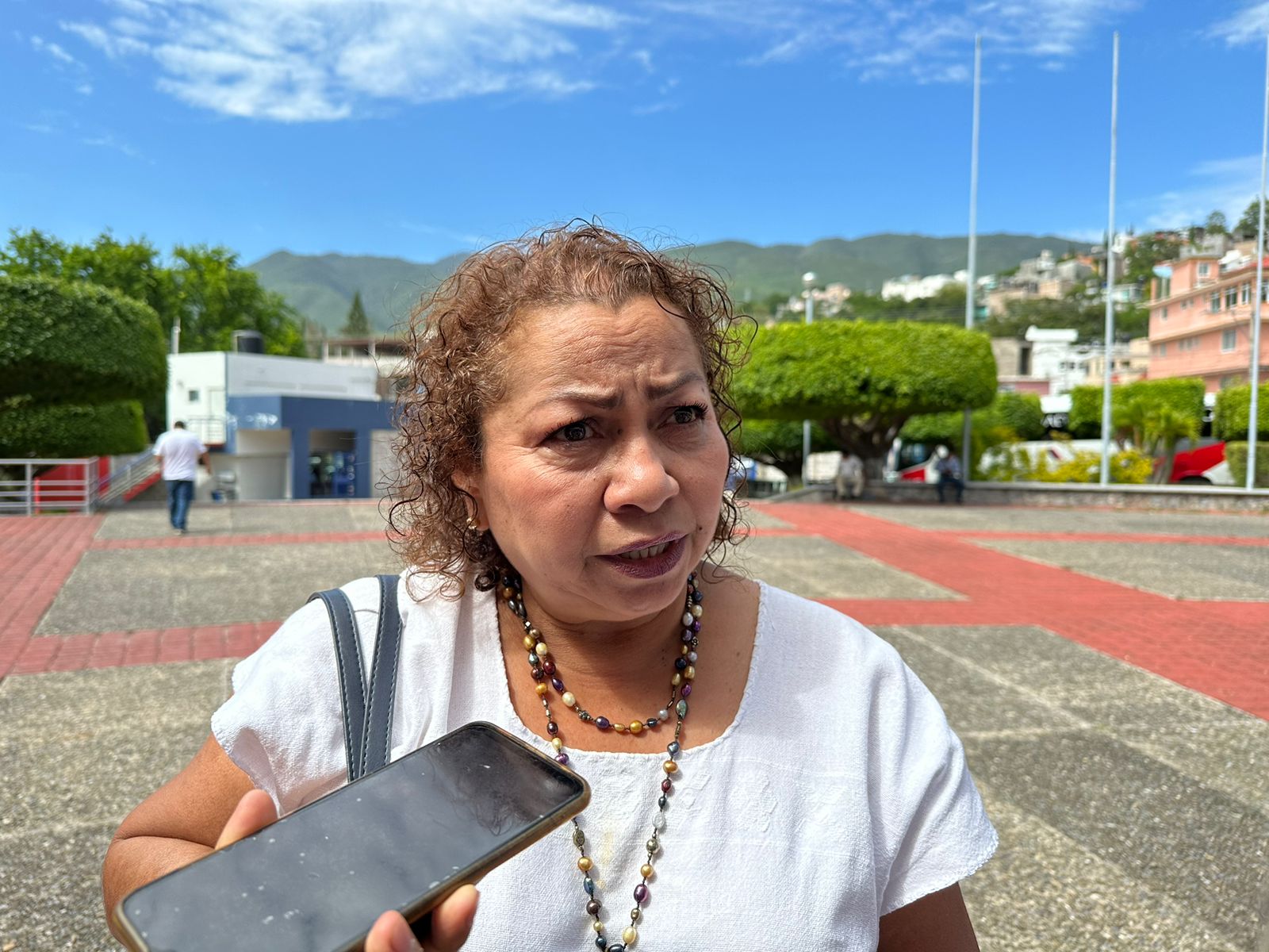 En Guerrero… No hay “registro estadístico” de matrimonios forzados entre menores de edad: Violeta Pino