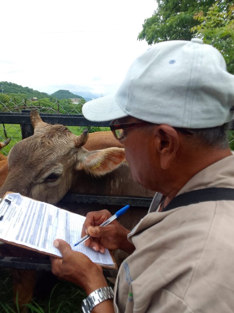 Inicia en Cutzamala de Pinzón campaña contra la tuberculosis bovina