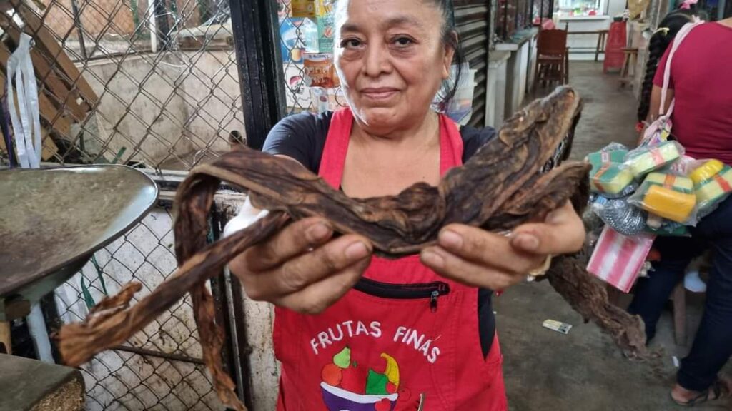 En desuso, el cultivo del tabaco en Nuxco