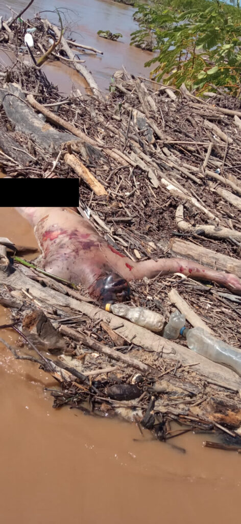 Encuentran cuerpo desnudo de un hombre, en el río Santa Catarina