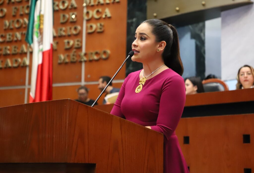 Infraestructura adecuada, inclusión laboral y no discriminación, las demandas en el parlamento de las personas con discapacidad