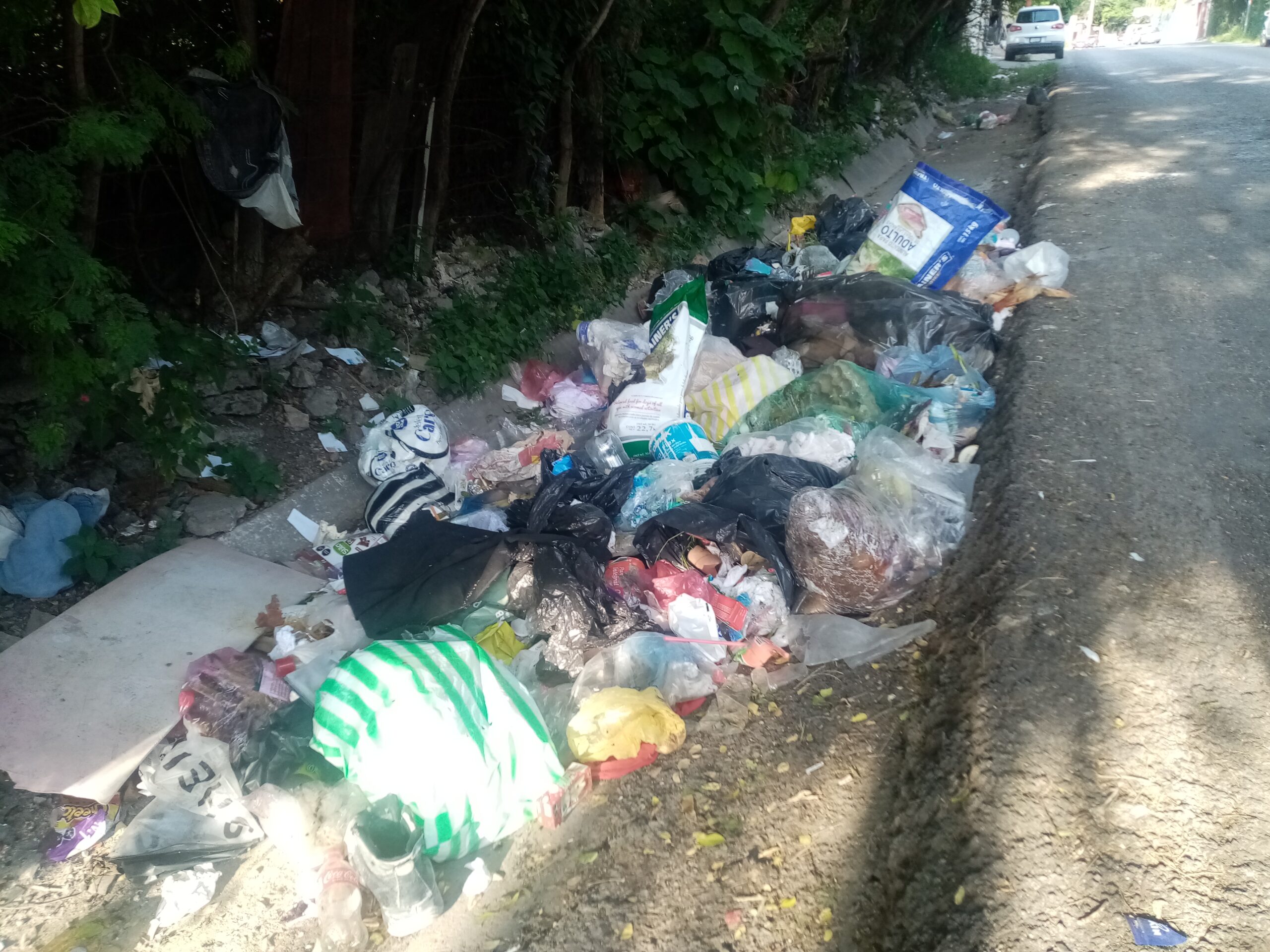 En Chilpancingo… Hay tiraderos de basura clandestinos por la falta de cultura ciudadana