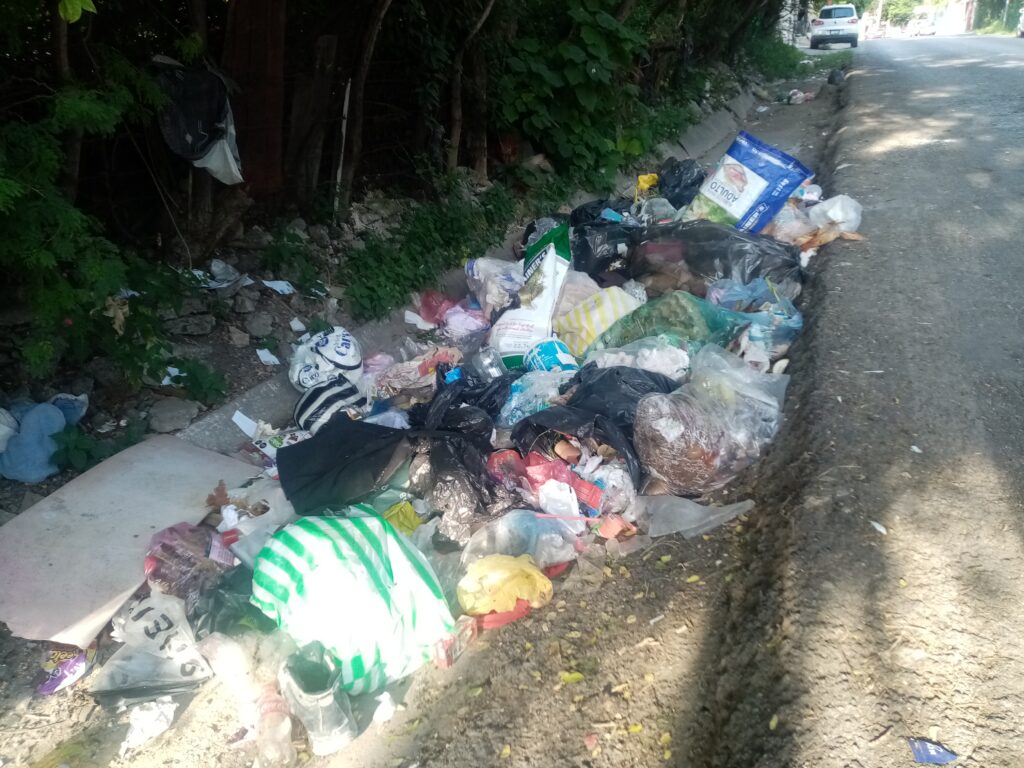 En Chilpancingo… Hay tiraderos de basura clandestinos por la falta de cultura ciudadana
