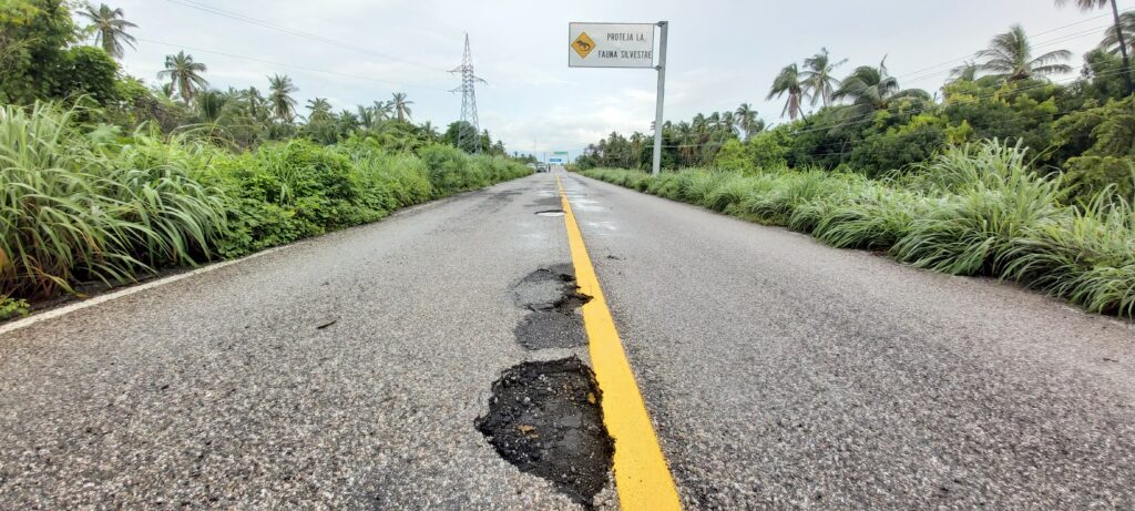 Lluvias causan baches en la carretera federal