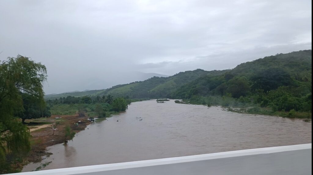 Sector agrícola presenta pérdidas en sus cultivos; las lluvias llegaron tarde