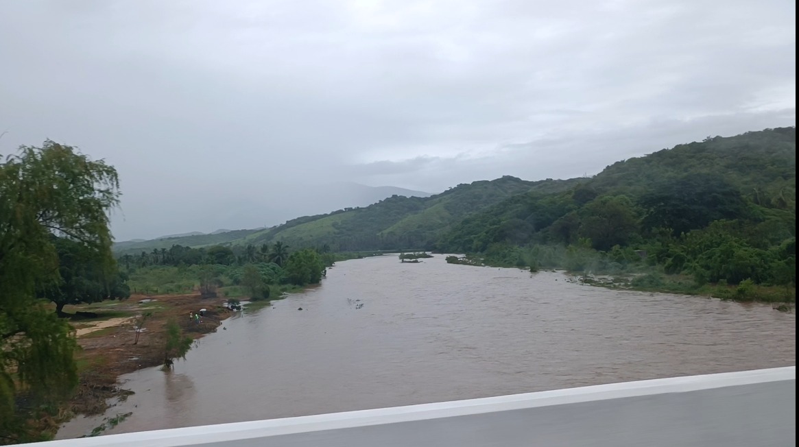 Sector agrícola presenta pérdidas en sus cultivos; las lluvias llegaron tarde