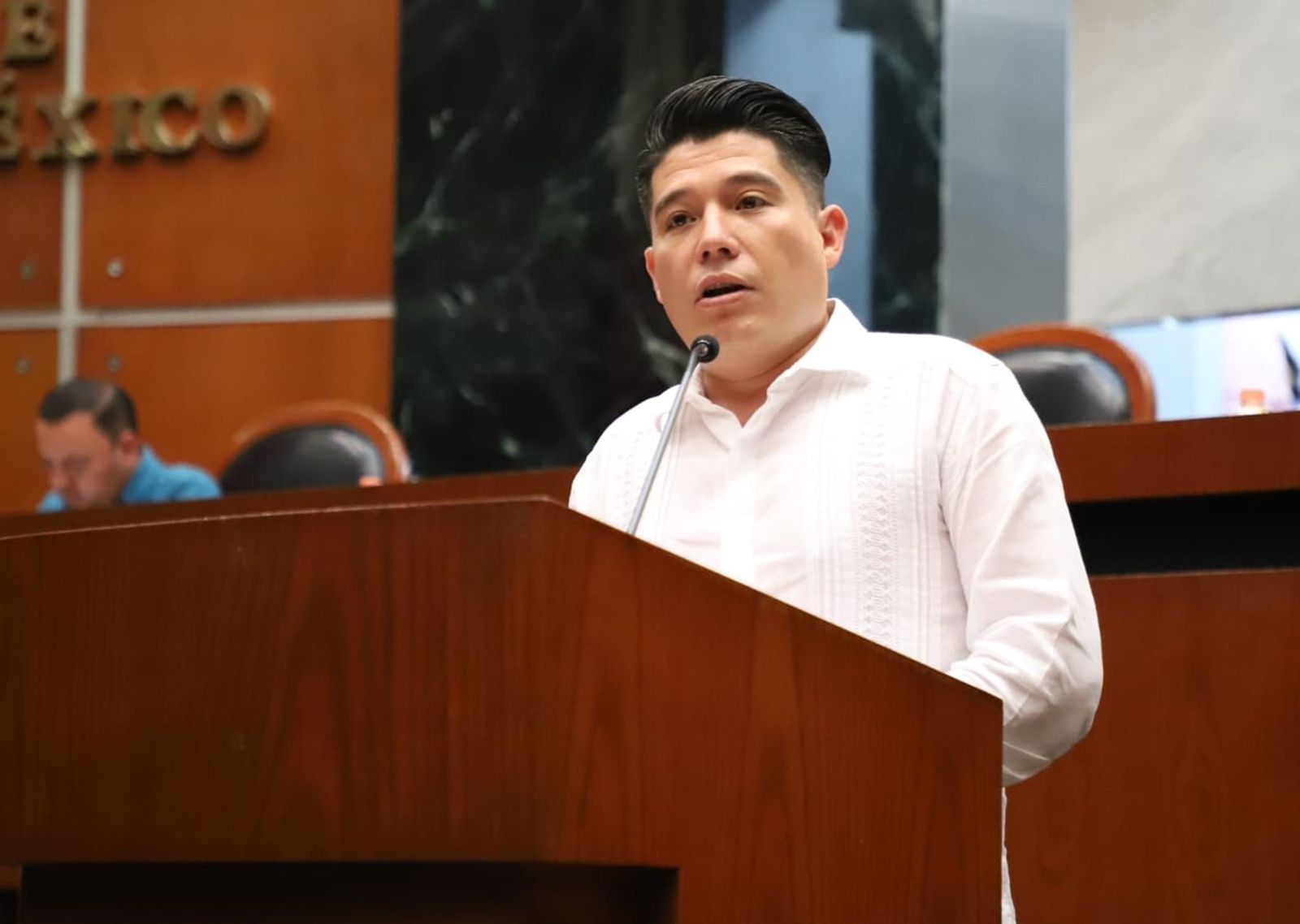Plantean reforma sobre sucesión del titular de la ASE y para asegurar la correcta entrega de cuentas públicas