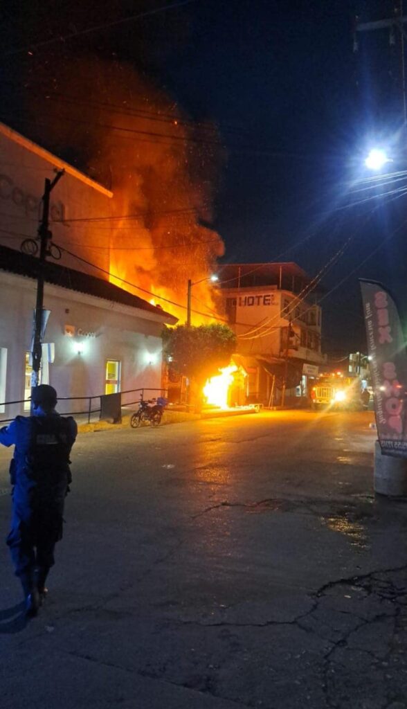 Se incendia pollería y globería en Petatlán