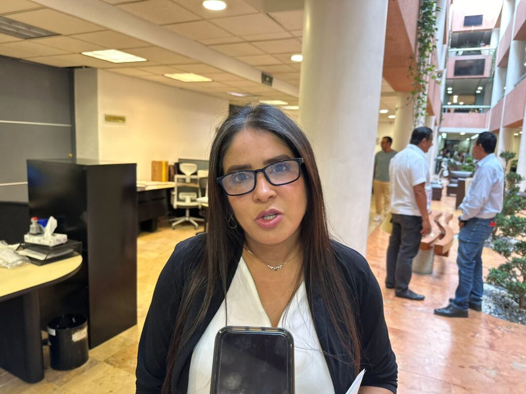 Debido a Otis, sí modificarán presupuestos de egresos 2024 del estado: Domínguez Serna