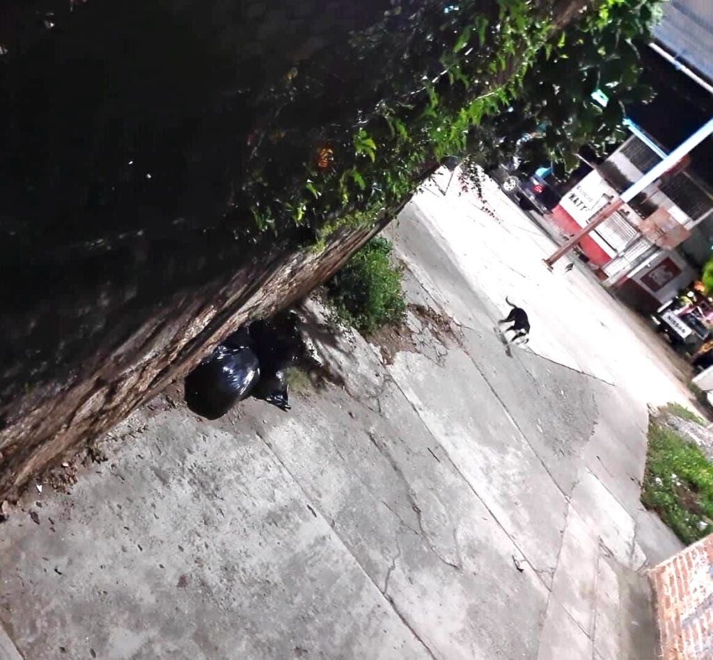 En Juan R. Escudero… Descuartizan a una persona y la dejan en bolsas en la localidad de Garrapatas