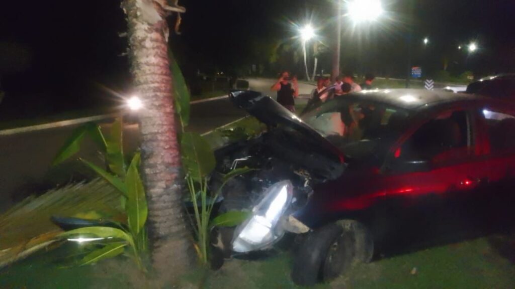 Vehículo choca contra tres palmas en Paseo de las Garzas