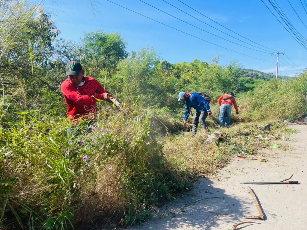 Servicios Públicos redobla esfuerzos para que Zihuatanejo luzca la mejor imagen de limpieza