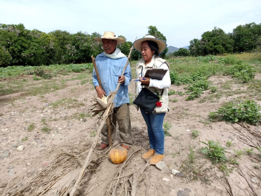 Atiende SAGADEGRO a productores afectados por el huracán Otis