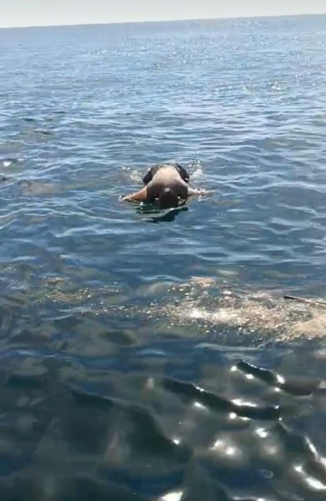 Flota el cadáver de un hombre en Playa Ventura, en Copala