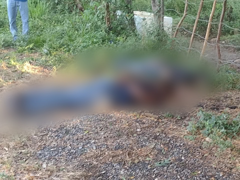 Atados de las manos y ejecutados, hallan a padre e hijo, en Tecoanapa