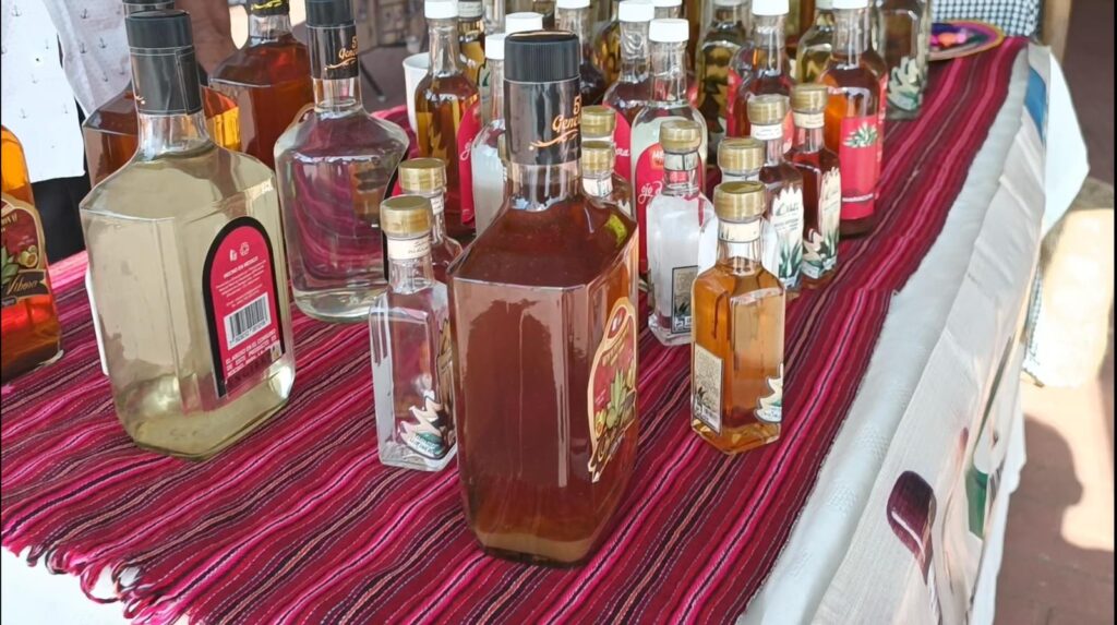 Complicado reactivar la mezcalera en Zihuatanejo