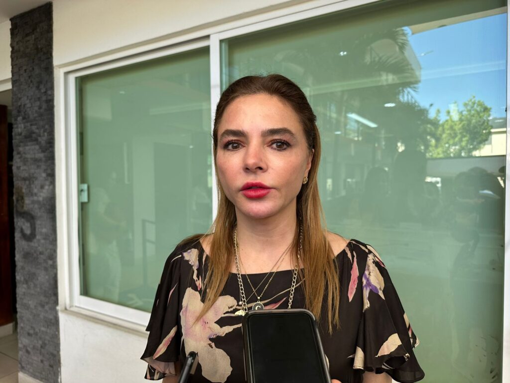 INE: buenos oficios de Evelyn Salgado para financiar el actual proceso electoral