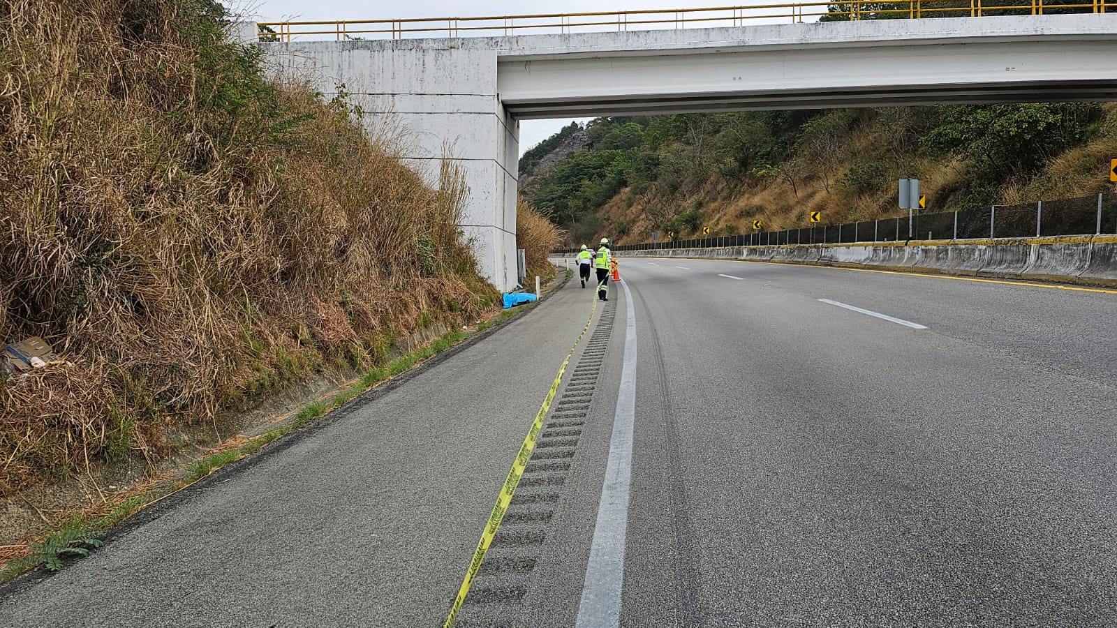 Hallan cuerpos de 4 hombres ejecutados, en la autopista del Sol