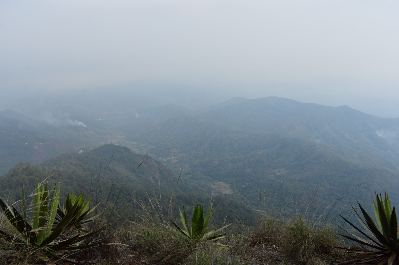 Guerrero aumenta a 348 mil hectáreas de áreas naturales y ecosistemas protegidas, celebra Evelyn Salgado